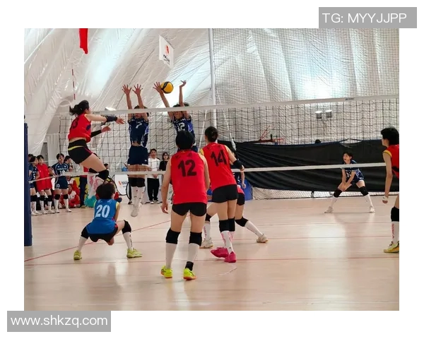 排球力量排行榜揭晓北京排球队荣登榜首展现强大实力 排球力量排行榜揭晓北京排球队荣登榜首展现强大实力