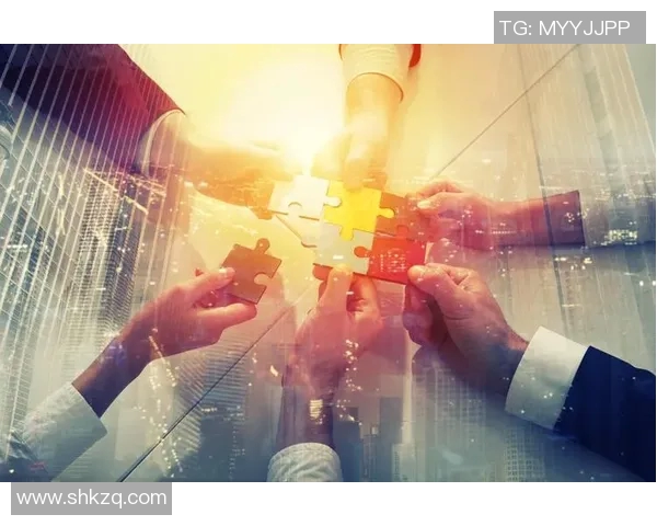 深圳排球队逆袭之路联合会杯特别报道展现拼搏精神与团队力量 深圳排球队逆袭之路联合会杯特别报道展现拼搏精神与团队力量