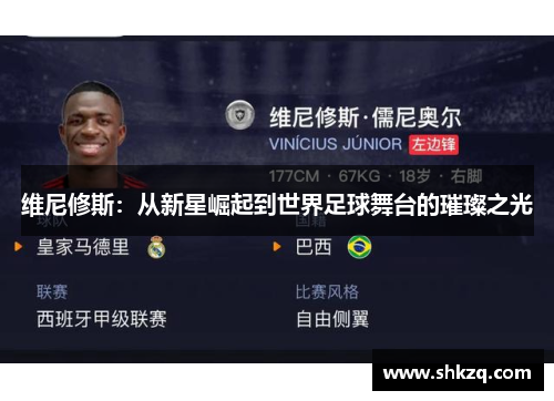 维尼修斯：从新星崛起到世界足球舞台的璀璨之光