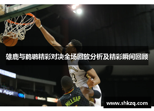 雄鹿与鹈鹕精彩对决全场回放分析及精彩瞬间回顾