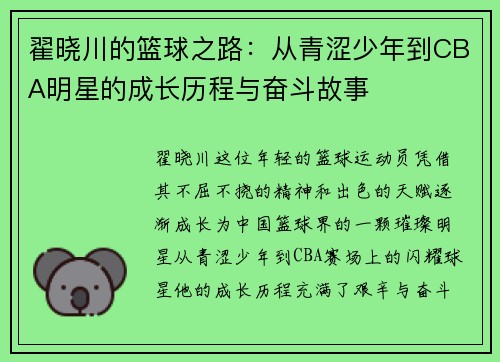 翟晓川的篮球之路：从青涩少年到CBA明星的成长历程与奋斗故事